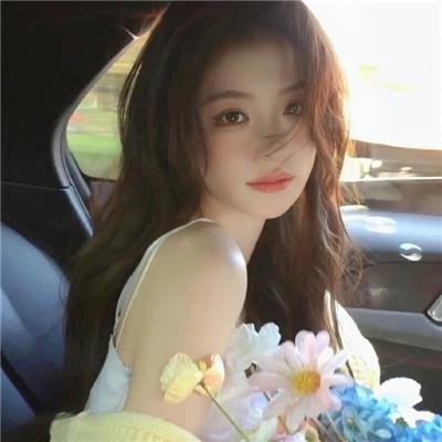 动物狂想曲第二季